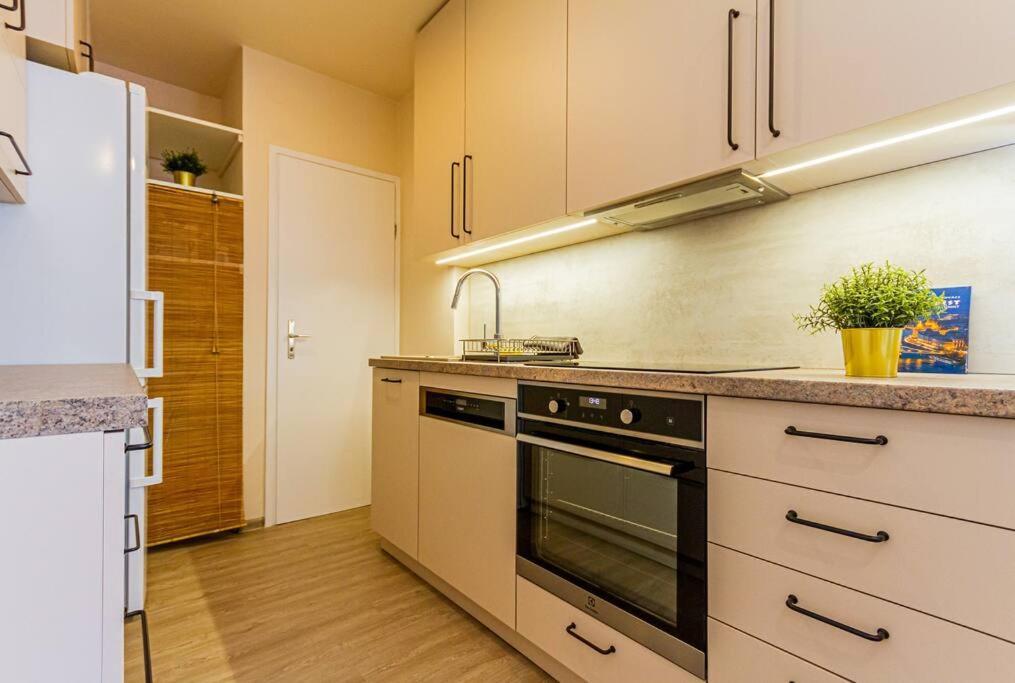 Roomy Apartment 80Sqm At City Center Free Parking Space, Ac & Balcony Budapeszt Zewnętrze zdjęcie